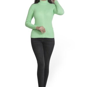 KALPANA Turtle neck body hugging pullover