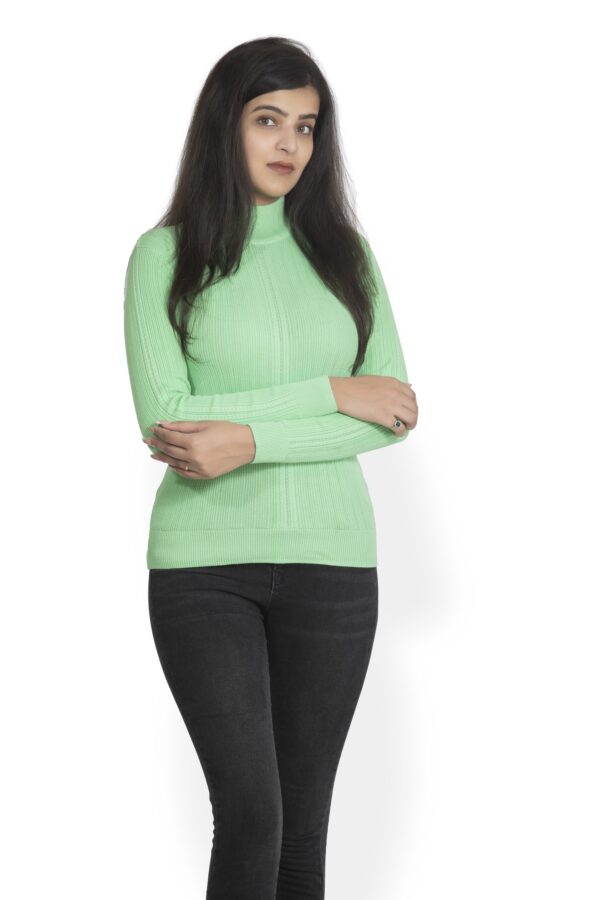 KALPANA Turtle neck body hugging pullover - Image 3