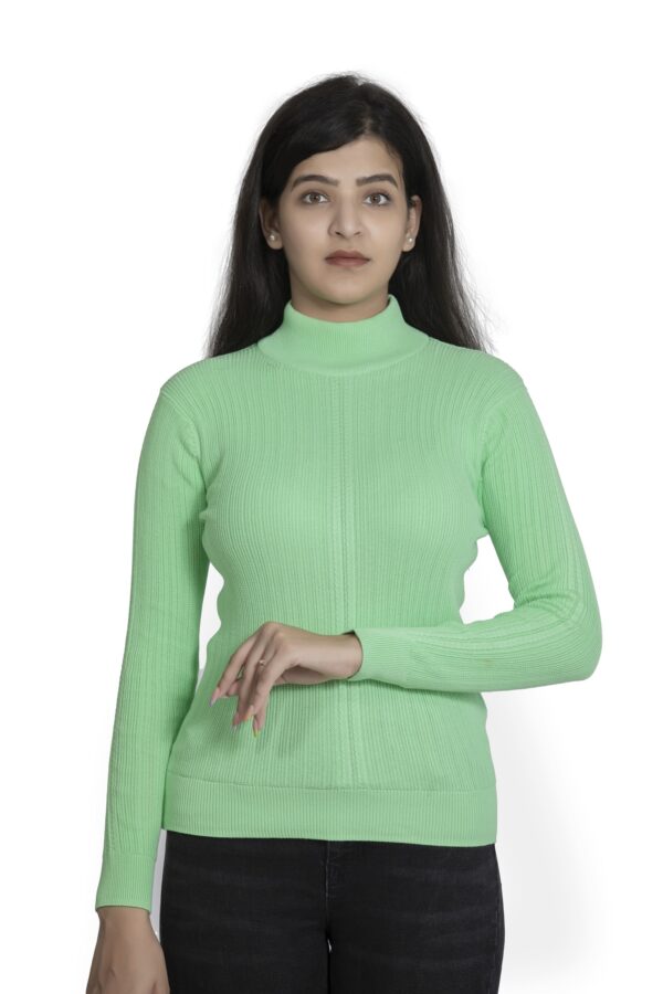 KALPANA Turtle neck body hugging pullover - Image 5