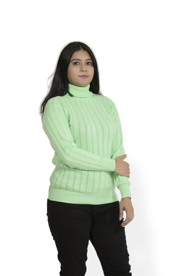 KALPANA High neck self design pullover - Image 10