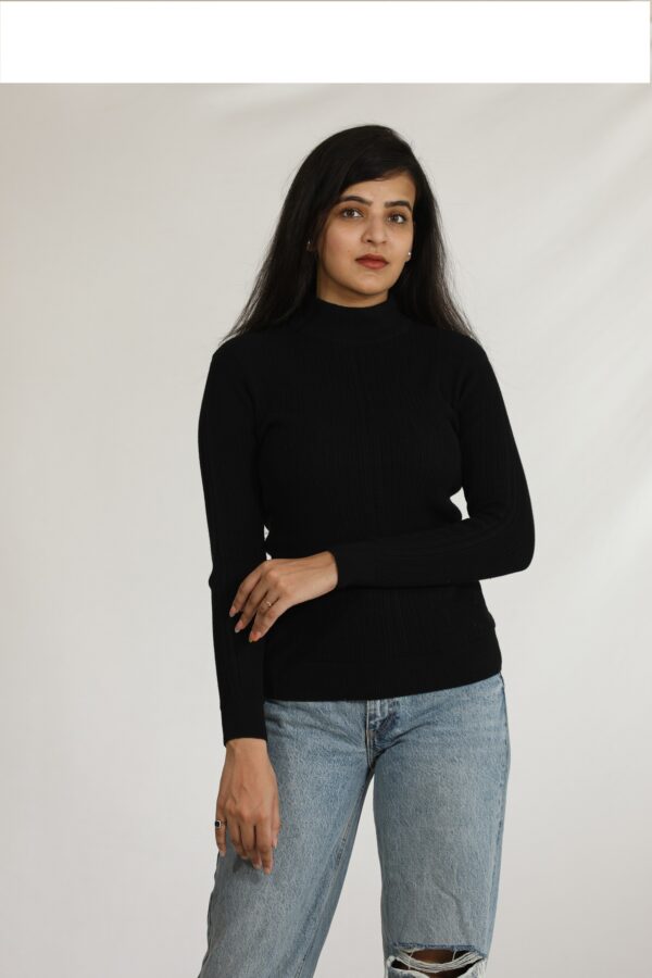 KALPANA Turtle neck body hugging pullover - Image 11