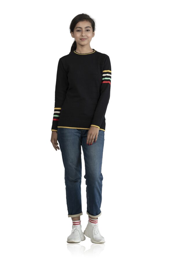 KALPANA Mix and matched sleeve round neck pullover with self design - Image 7