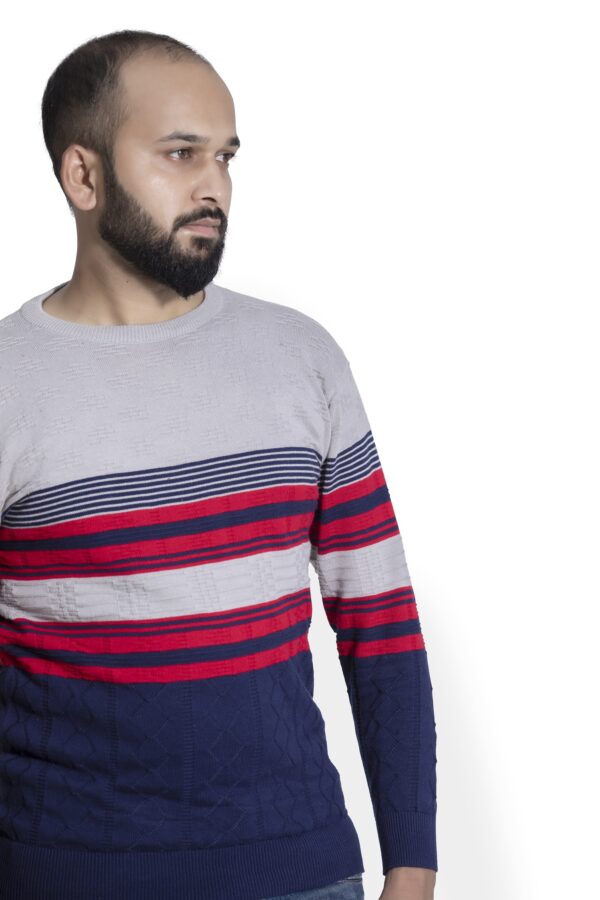 BRATS Round neck Pullover with stripe and self design - Image 3