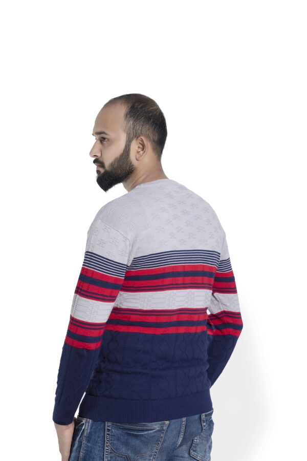 BRATS Round neck Pullover with stripe and self design - Image 4