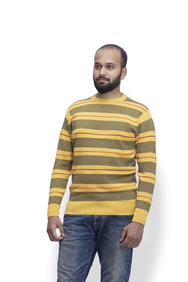 BRATS Round neck pullover with jacquard stripe - Image 6
