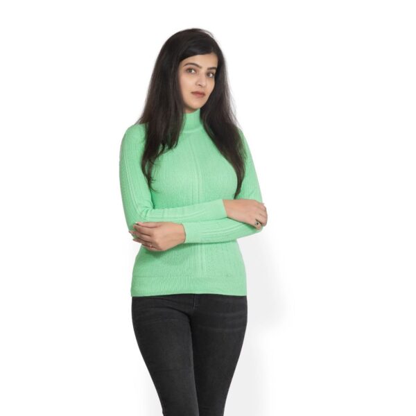 KALPANA Turtle neck body hugging pullover